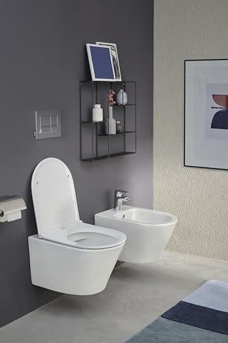 jacob-delafon-rodin-pack-wc-suspendu-sans-bride-blanc-e25856 image 8