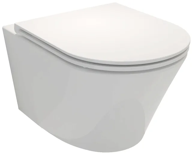 jacob-delafon-rodin-pack-wc-suspendu-sans-bride-blanc-e25856 image 1